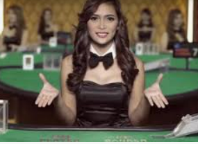 壹号电子娱乐app免费版