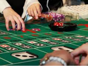 壹号电子娱乐app电脑免费版